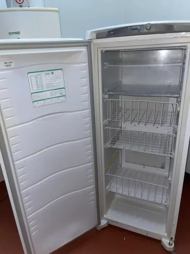 Freezer Vertical Consul