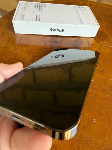 iPhone 13 Pro Max 256gb INCRÍVEL