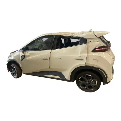 Bateria Byd Dolphi Mini Elétrico 2023 2024 2025 2026
