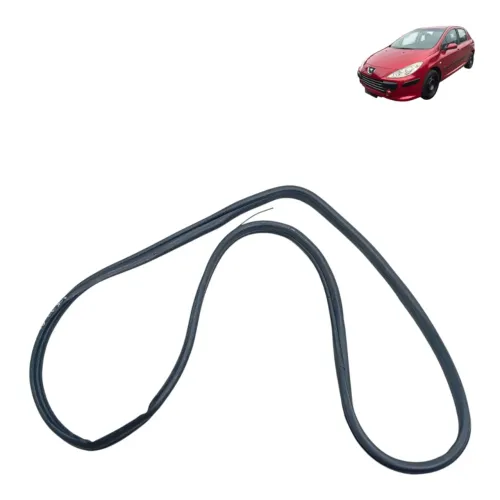 Borracha Porta Dianteira Lado Esquerdo Peugeot 307 2010 N565