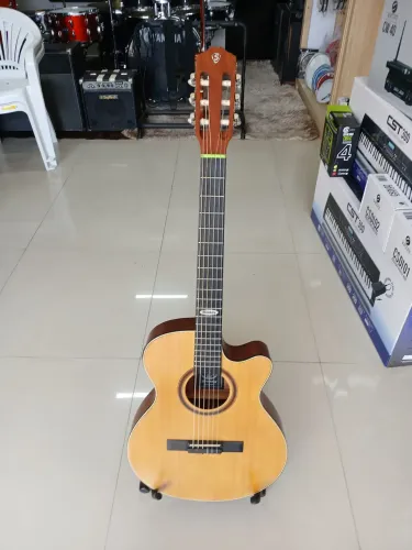 VIOLAO NYLON STRINBERG
