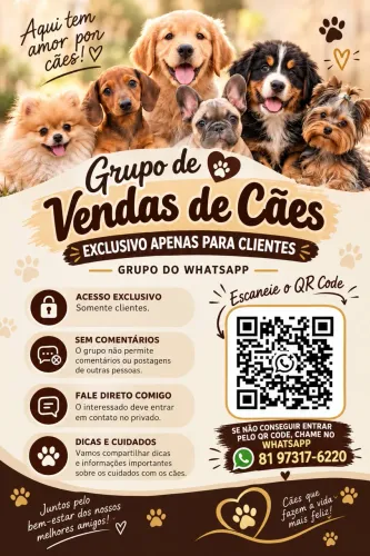 Vendas pet