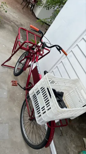 Bicicleta de carga