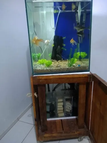 Aquário 300L com sump