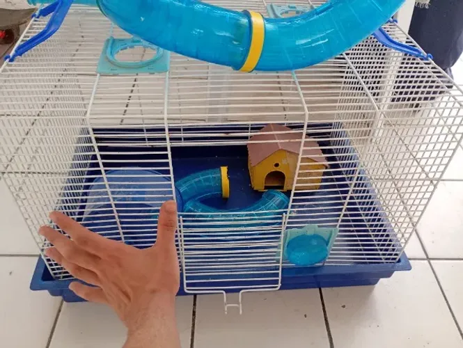(Negociável) Gaiola Playground Para Hamster