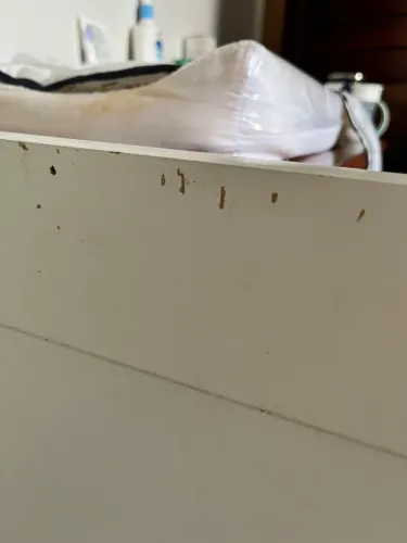 Berço acompanha o colchão