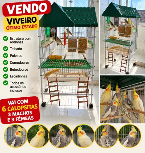 Gaiola