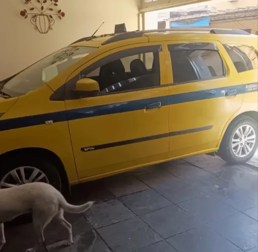 Chevrolet Spin LT 1.8 8V Econo.flex 5P Mec. 2017