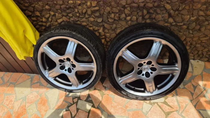 Rodas momo