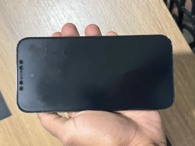 iPhone 12 Pro Max