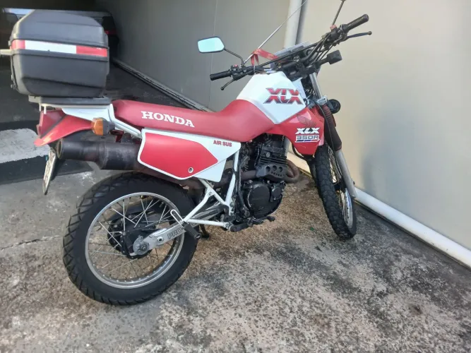 XLX 350