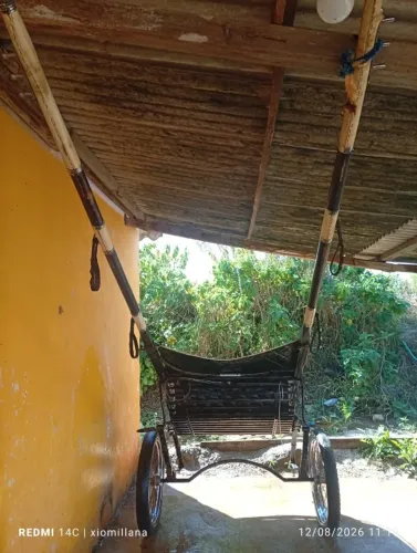 Charrete boa e égua de sela mansa 3 anos e meio