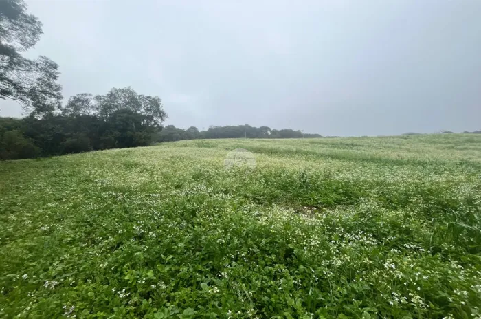 Vendas Área Almirante Tamandaré PR