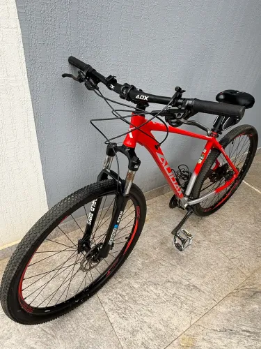 Bicicleta Audax.