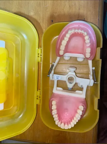 Manequim odontológico PRONEW