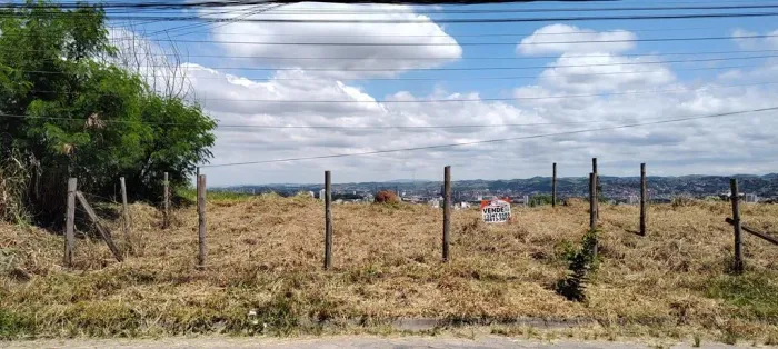VENDO TERRENO NO MIRANTE DO VALE, 520 M² COM LINDA VISTA