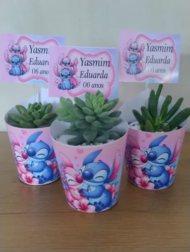 Suculentas decoradas para lembrancinhas