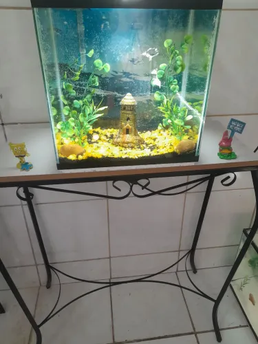Aquário Completo 32 Litros 