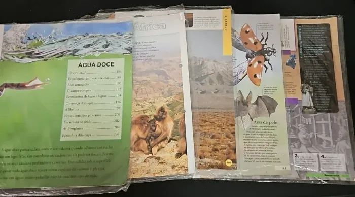 Lote fascículos Revista Recreio