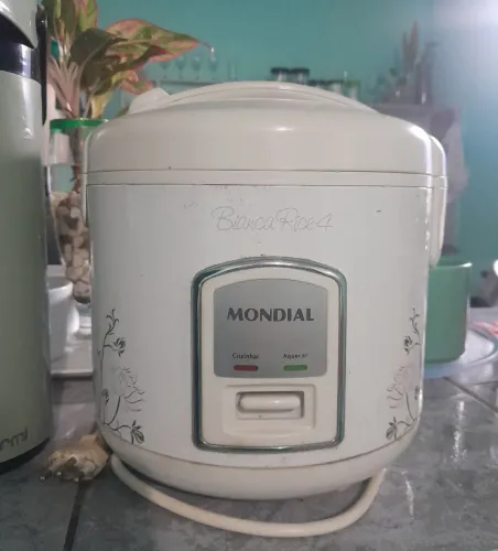 Panela eléctrica