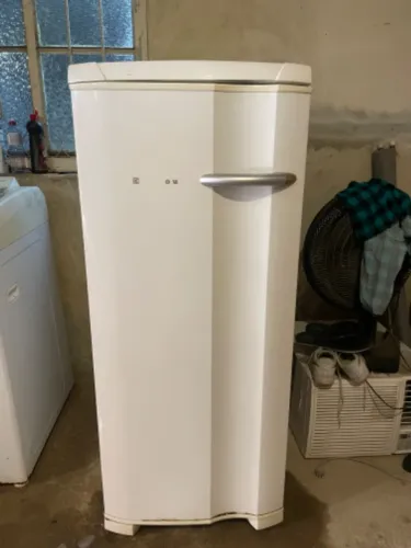 Freezer vertical