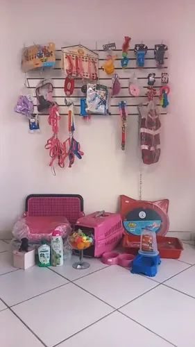 Acessórios para pet