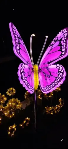 Decoração de festa