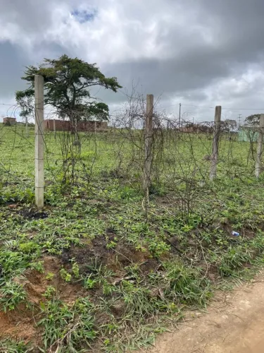 2 lotes em São João por 80 mil