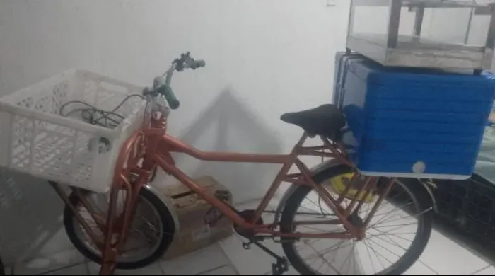 Bicicleta Cargueira 