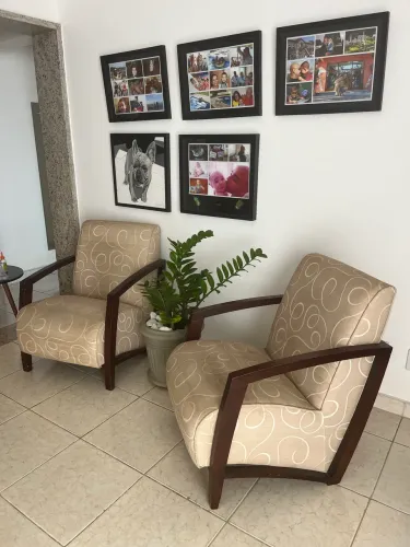 Poltronas 