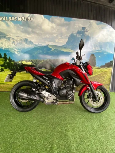 FZ25 FAZER 