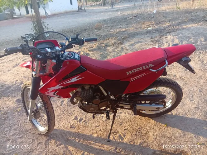 tornado 250