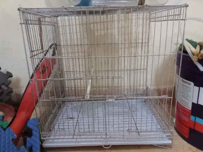 Gaiola reprodução