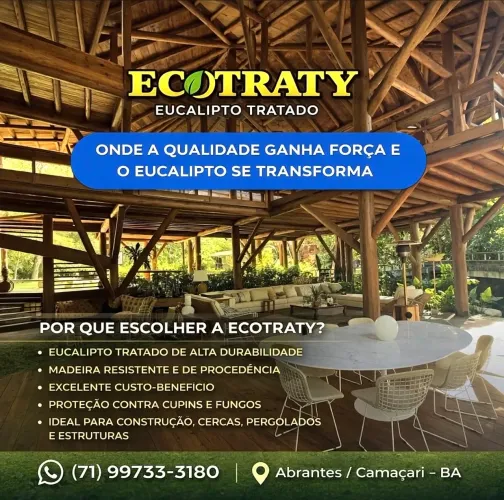 Eucalipto Tratado Direto da Fábrica | Pronta entrega | 100% Cloeziana