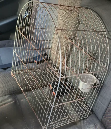 Gaiola Para pássaros 