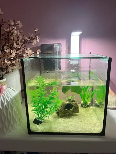 Aquário completo 
