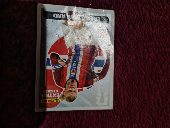 Vende