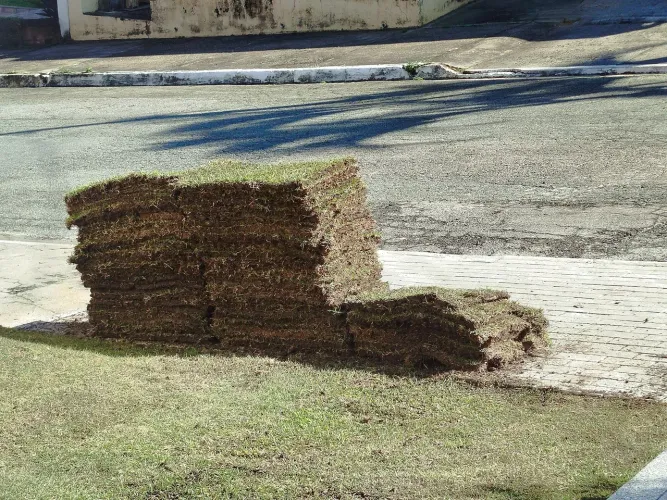 URGENTE: Grama esmeralda - 20 m2