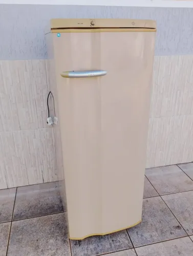 Geladeira Electrolux 240 litros completa 