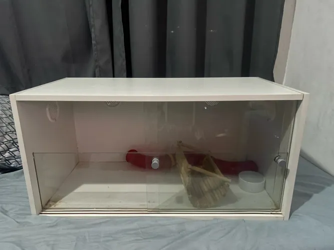 Terrário para répteis ou roedores