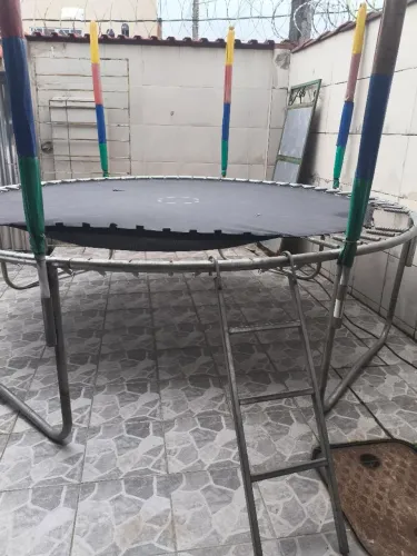 Pula pula gigante