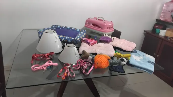 Lote de Acessórios para Pet: 6 Guias, 3 Caminhas, Caixa de Transporte Nº 2 e Brinquedos