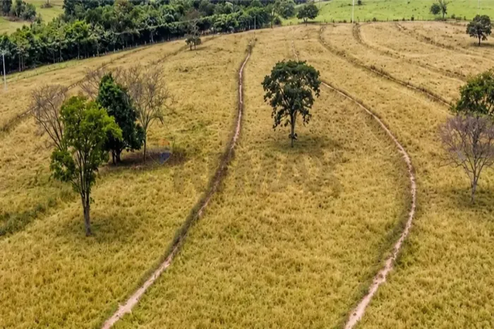 Fazenda à Venda em Potirendaba/SP | 30,86 Hectares