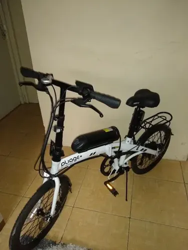 Bike eletrica pliage + two dogs.