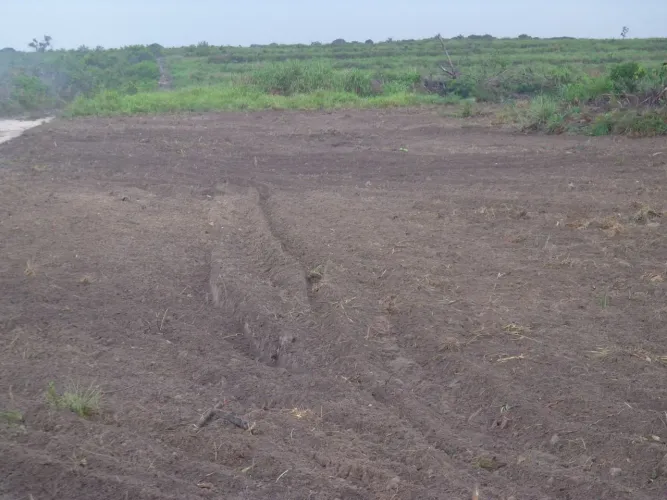 Fazenda de arrendamento 3.100hect em nova canaã do norte, MT. 10 sacas soja por hect.