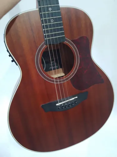 Violao eletrico strinberg 