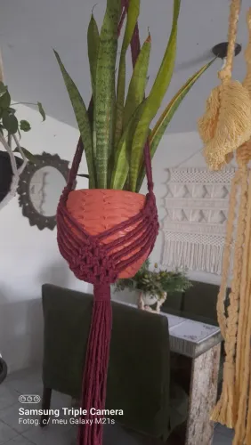 Suporte de plantas teia