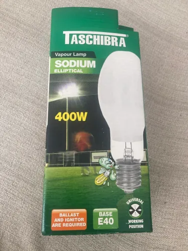 Lâmpada Vapor Sódio Ovóide 