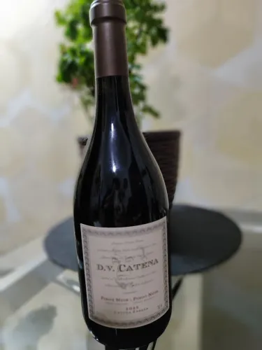 Vinho DV Catena Pinot Noir 2022