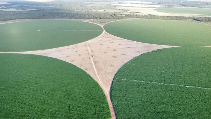 Fazenda com DÍVIDA, 957hec em Paracatú MG. 62 milhões.